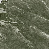 House Of Low Culture - Housing Tracts