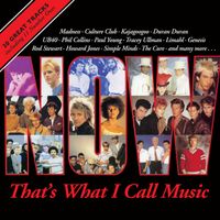 Various Artists - Now That's What I Call Music