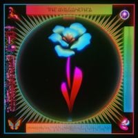 The Avalanches - Interstellar Love