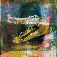 Mogwai - Dry Fantasy