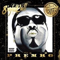 8Ball - Premro