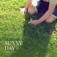 Aaron Espe - Sunny Day