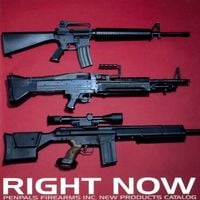 PENPALS - Right Now