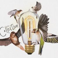 David Wimbish & The Collection - Beautiful Life (Acoustic)