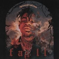 Thouxanbanfauni - FALL