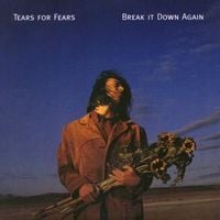 Tears for Fears - Break It Down Again