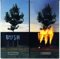 Bush - Swallowed