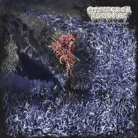 Of Feather And Bone - Sulfuric Disintegration
