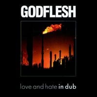 Godflesh - Love and Hate in Dub