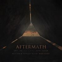 Amy Lee - Aftermath