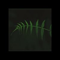 夜明けを残す - Elkhfa