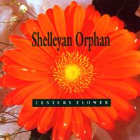Shelleyan Orphan - Century Flower