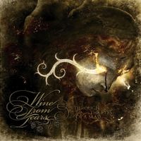 Wine From Tears - Through the Eyes of a Mad