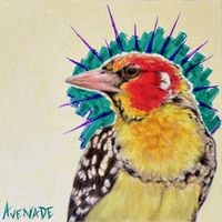 Avenade - Swim / Closure