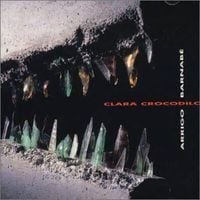 Arrigo Barnab&eacute; - A Saga de Clara Crocodilo