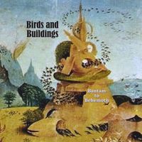 Birds And Buildings - Bantam to Behemoth