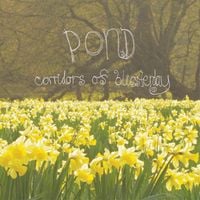 Pond - Corridors of Blissterday