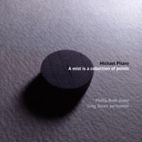 Phillip Bush / Greg Stuart - a mist is a collection of points