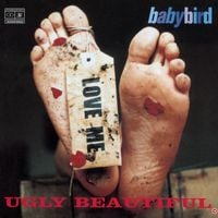 Babybird - Ugly Beautiful