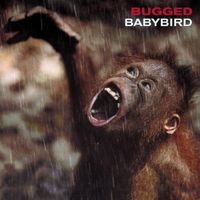 Babybird - Bugged