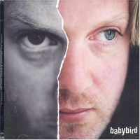 Babybird - Between My Ears There Is Nothing But Music