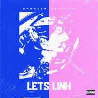 WhoHeem & ppcocaine - Let's Link (Remix)