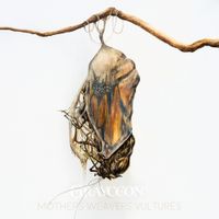 Grayceon - Mothers Weavers Vultures