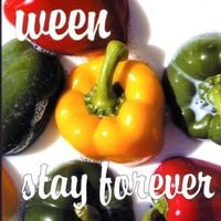 Ween - Stay Forever