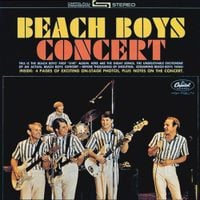 The Beach Boys - Beach Boys Concert