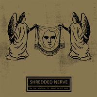 Shredded Nerve - In the Shadow of What Never Was