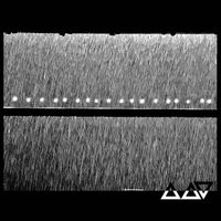 Vennart - In The Dead, Dead Wood