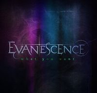 Evanescence - What You Want