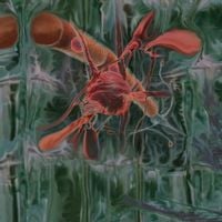 Peverelist - Jarvik Mindstate