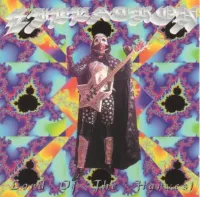 Bootsy Collins - Lord of the Harvest