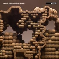 Dengue Dengue Dengue - Fiebre