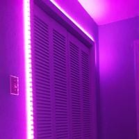 d0llywood1 - violet