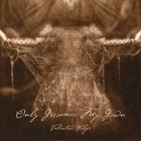 Valentine Wolfe - Only Gossamer My Gown