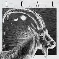 Kamada - Leal