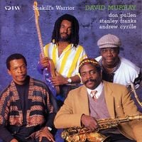 David Murray - Shakill's Warrior