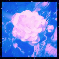 Voidshasky - void of consciousness