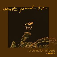 Matt Pond PA - A Collection of Bees, Pt. 1