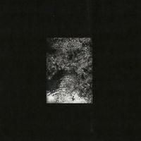 The Trees & The Wild - Zaman, Zaman