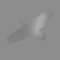 Sigur Rós, Hilmar Örn Hilmarsson, Steindór Andersen & Maria Huld Markan Sigfúsdóttir - Stendur &aelig;va