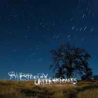 Saves The Day - Under the Boards