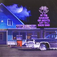 Foster the People - Under the Moon