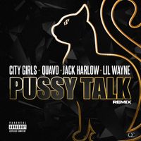 City Girls - Pussy Talk (Remix)