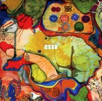 C.S.S.O - Are You Excrements