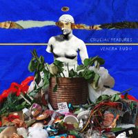 Crucial Features - Venera Budo