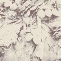 Sarah Davachi - Figures In Open Air