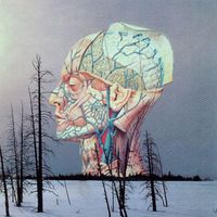 Low - Songs for a Dead Pilot